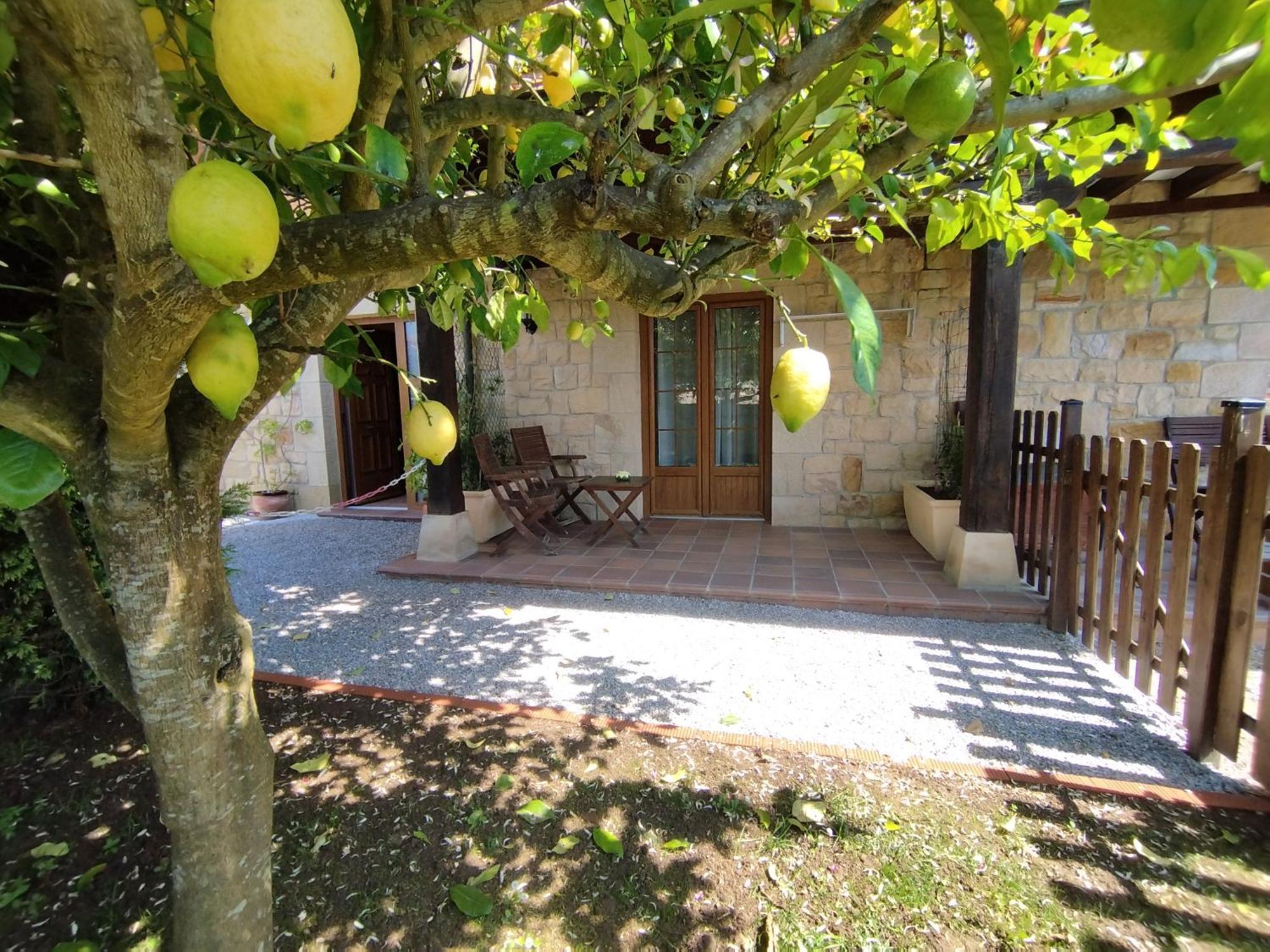 Appartement Altamira *